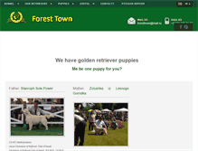 Tablet Screenshot of foresttown.ru